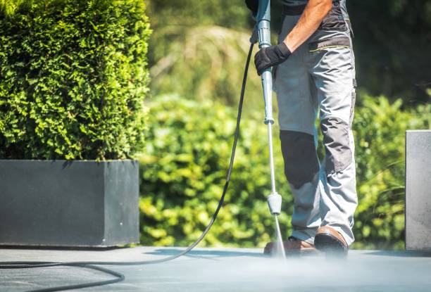 Reliable Colmar Manor, MD Pressure Washing Services Solutions